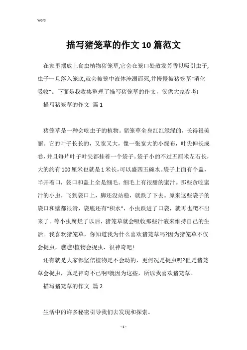 描写猪笼草的作文10篇范文