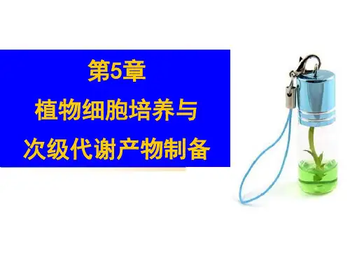 5 植物细胞培养与次级代谢产物制备