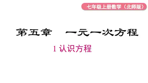 5.1+认识方程+++课件++2024-2025学年北师大版数学七年级上册