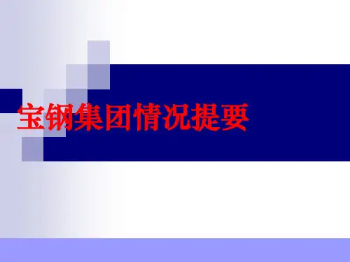 宝钢集团ppt