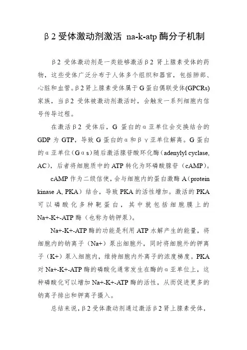 β2受体激动剂激活 na-k-atp酶分子机制