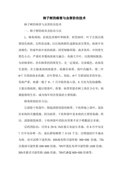 柿子树的病害与虫害防治技术