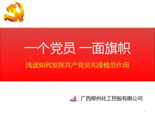 一个党员-一面旗帜PPT课件