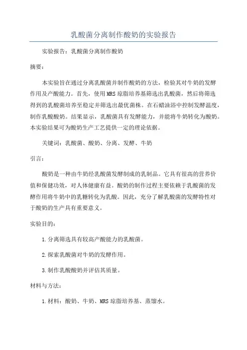 乳酸菌分离制作酸奶的实验报告