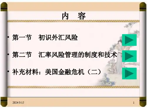第三章汇率风险的管理与防范课件