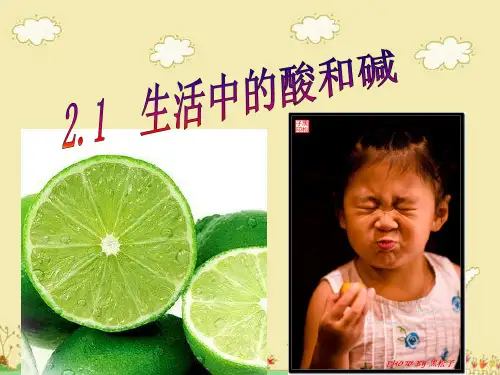 生活中的酸和碱2PPT课件