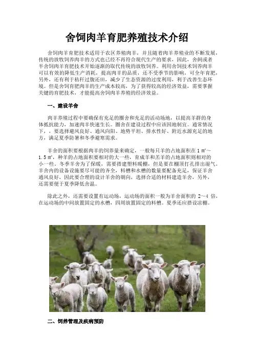 舍饲肉羊育肥养殖技术介绍