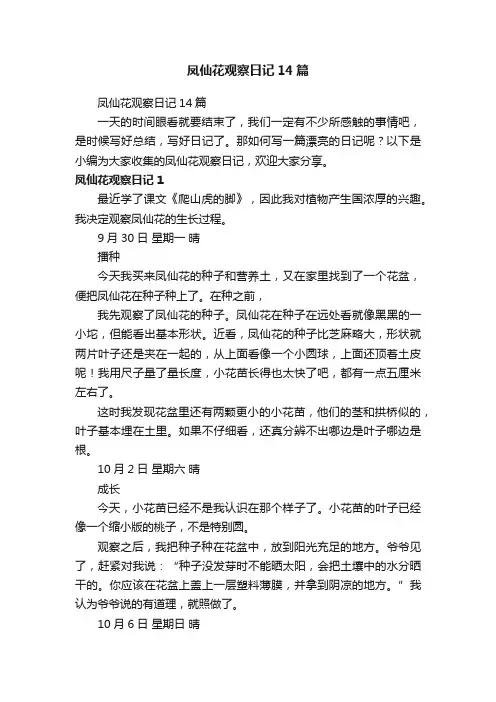 凤仙花观察日记14篇