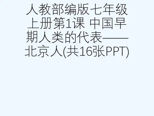 人教部编版七级上册第1课 中国早期人类的代表——北京人(共16张PPT)[可修改版ppt]
