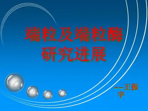端粒及端粒酶的研究进展
