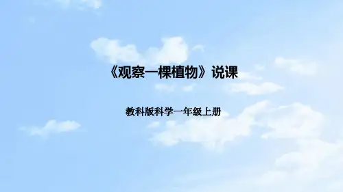 教科版科学一年级上册植物第二课《观察一棵植物》说课课件