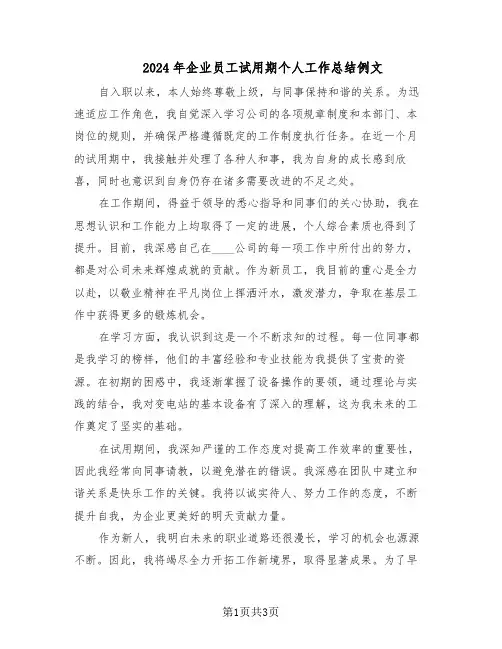2024年企业员工试用期个人工作总结例文（3篇）