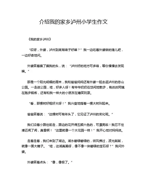 介绍我的家乡泸州小学生作文