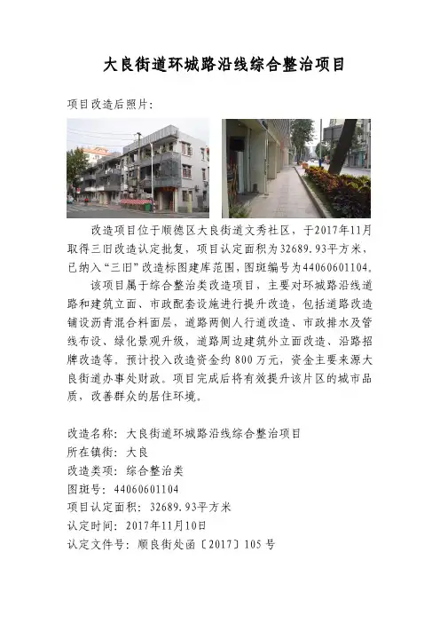 大良街道环城路沿线综合整治项目