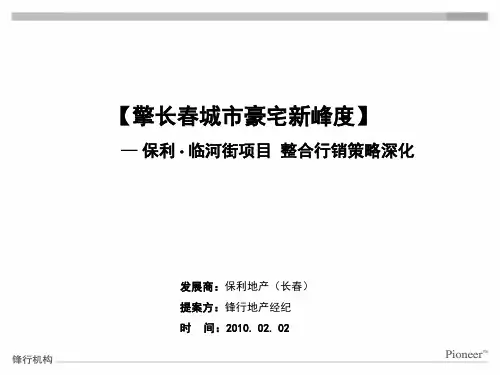 保利临河街案提报100202