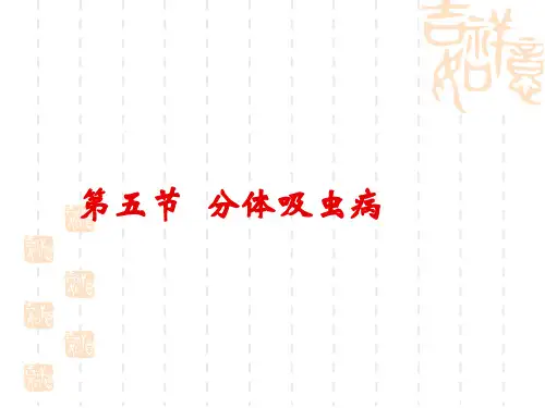吸虫病 分体吸虫