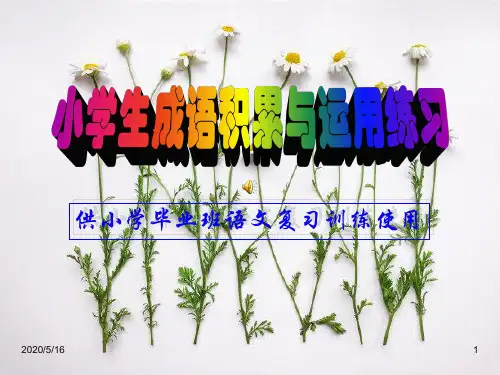 成语积累与运用PPT教学课件