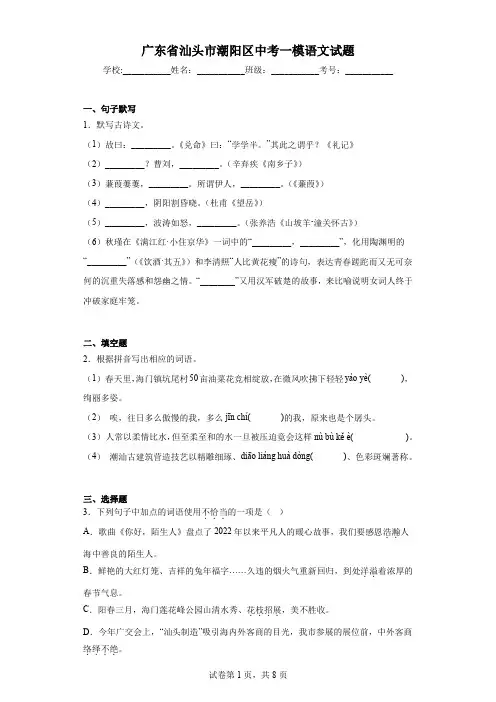 广东省汕头市潮阳区中考一模语文试题