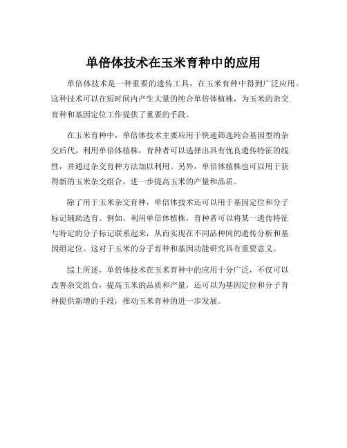 单倍体技术在玉米育种中的应用