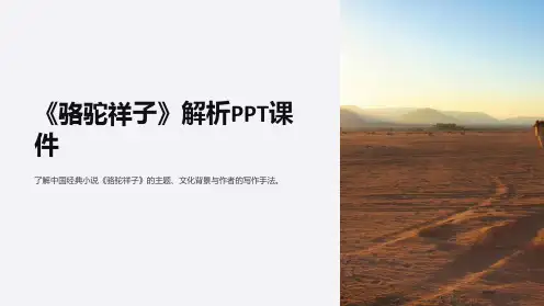 《骆驼祥子》解析PPT课件