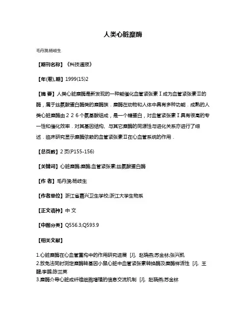人类心脏糜酶