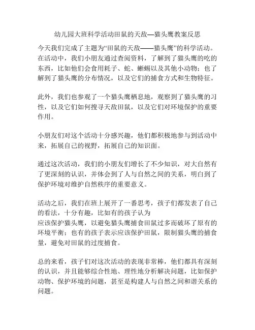 幼儿园大班科学活动田鼠的天敌—猫头鹰教案反思