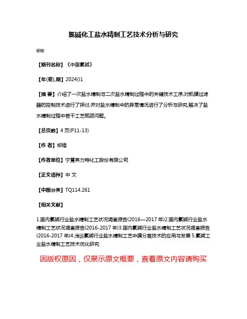 氯碱化工盐水精制工艺技术分析与研究