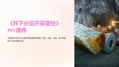 《井下分层开采管柱》课件