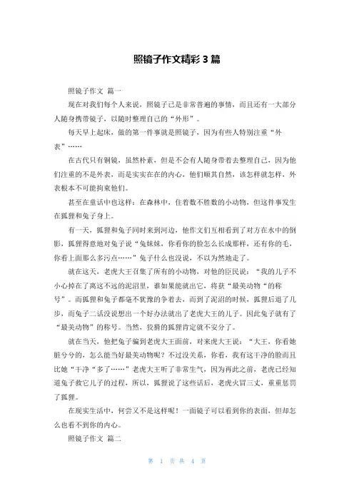 照镜子作文精彩3篇