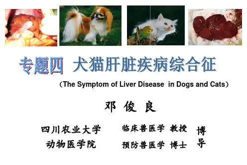 专题四、犬猫肝脏疾病综合征