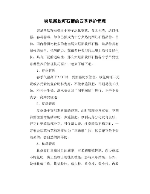 突尼斯软籽石榴的四季养护管理