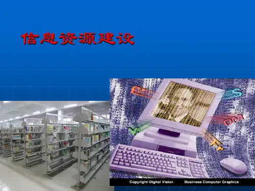 信息资源建设 第一章 概述