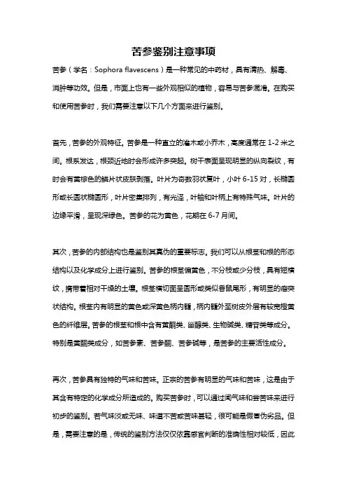 苦参鉴别注意事项