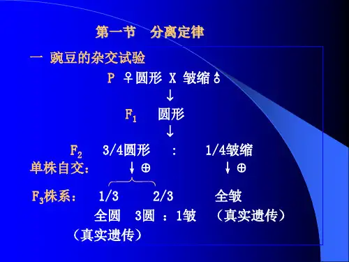 第四章孟德尔遗传分析