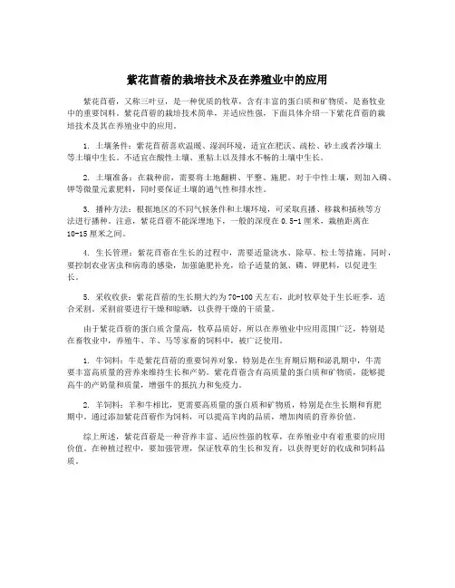 紫花苜蓿的栽培技术及在养殖业中的应用