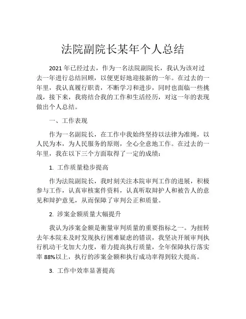 法院副院长某年个人总结