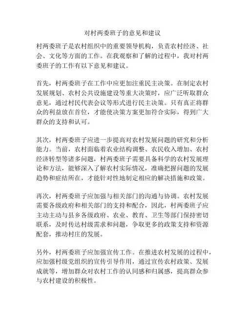 对村两委班子的意见和建议