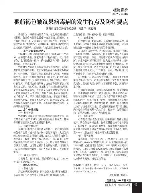 番茄褐色皱纹果病毒病的发生特点及防控要点