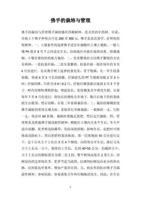 佛手的栽培与管理
