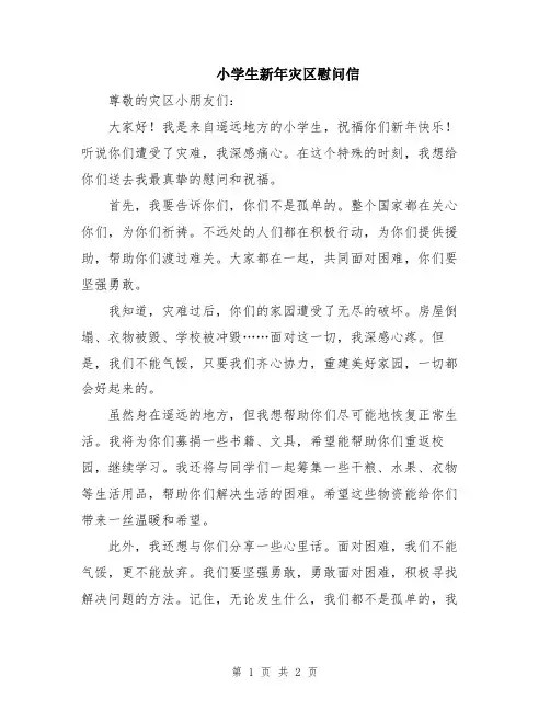 小学生新年灾区慰问信