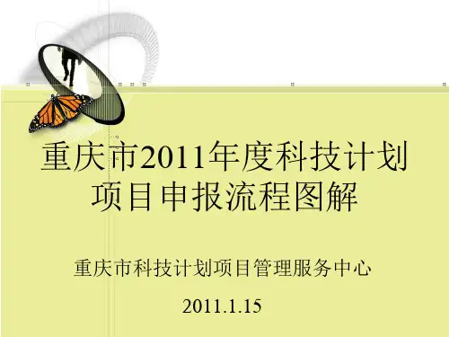 XXXX年项目申报流程.pptx