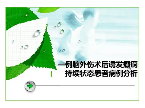 一例脑外伤术后诱发癫痫持续状态患者病例分析