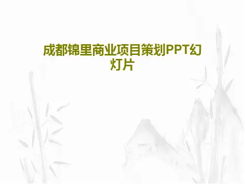 成都锦里商业项目策划PPT幻灯片共47页文档
