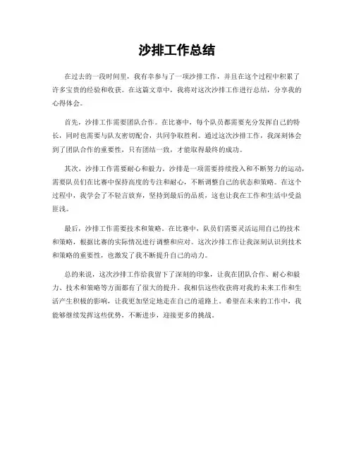 沙排工作总结