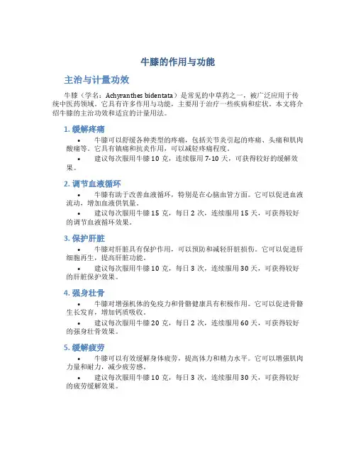牛膝的作用与功能主治与计量功效