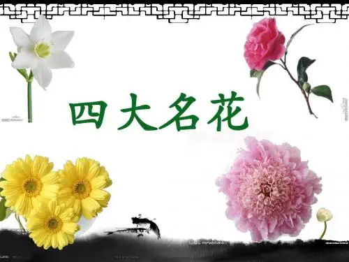 中国四大名花