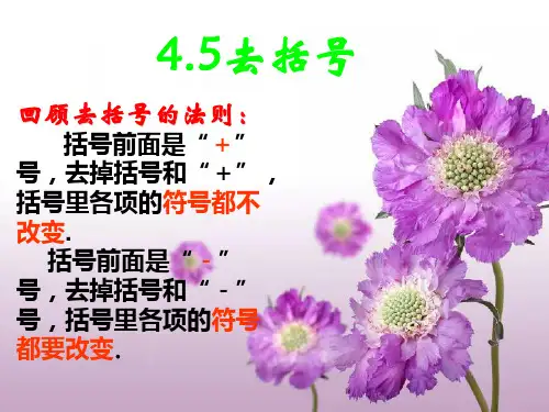 江苏专用 苏教版七年级数学《去括号》课件