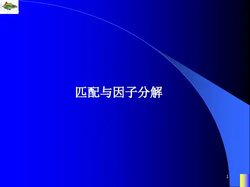 图论的匹配与因子分解