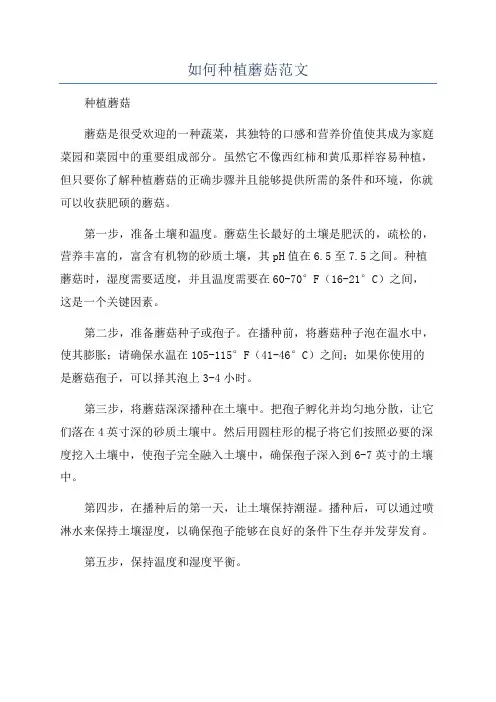 如何种植蘑菇范文