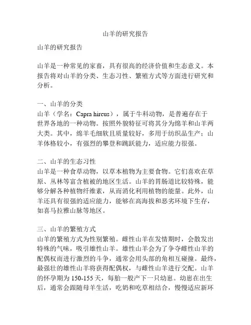 山羊的研究报告